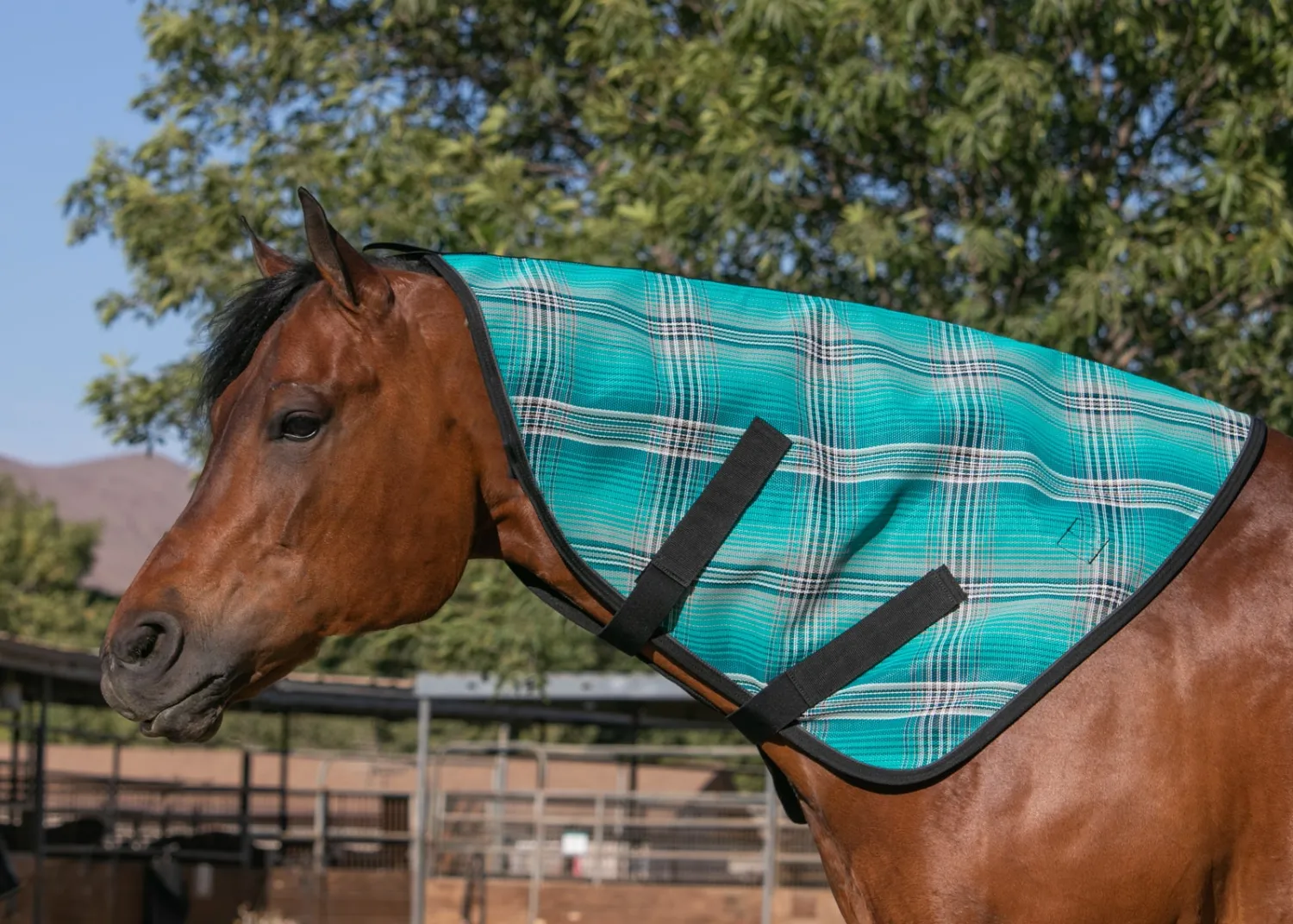 Online KENSINGTON ™ Signature Textilene® Neck Cover