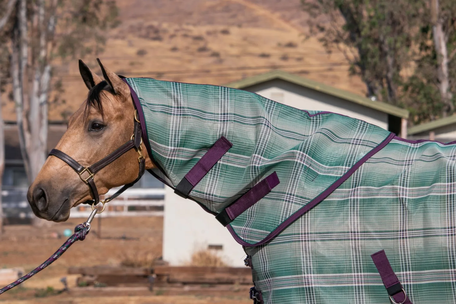 Online KENSINGTON ™ Signature Textilene® Neck Cover