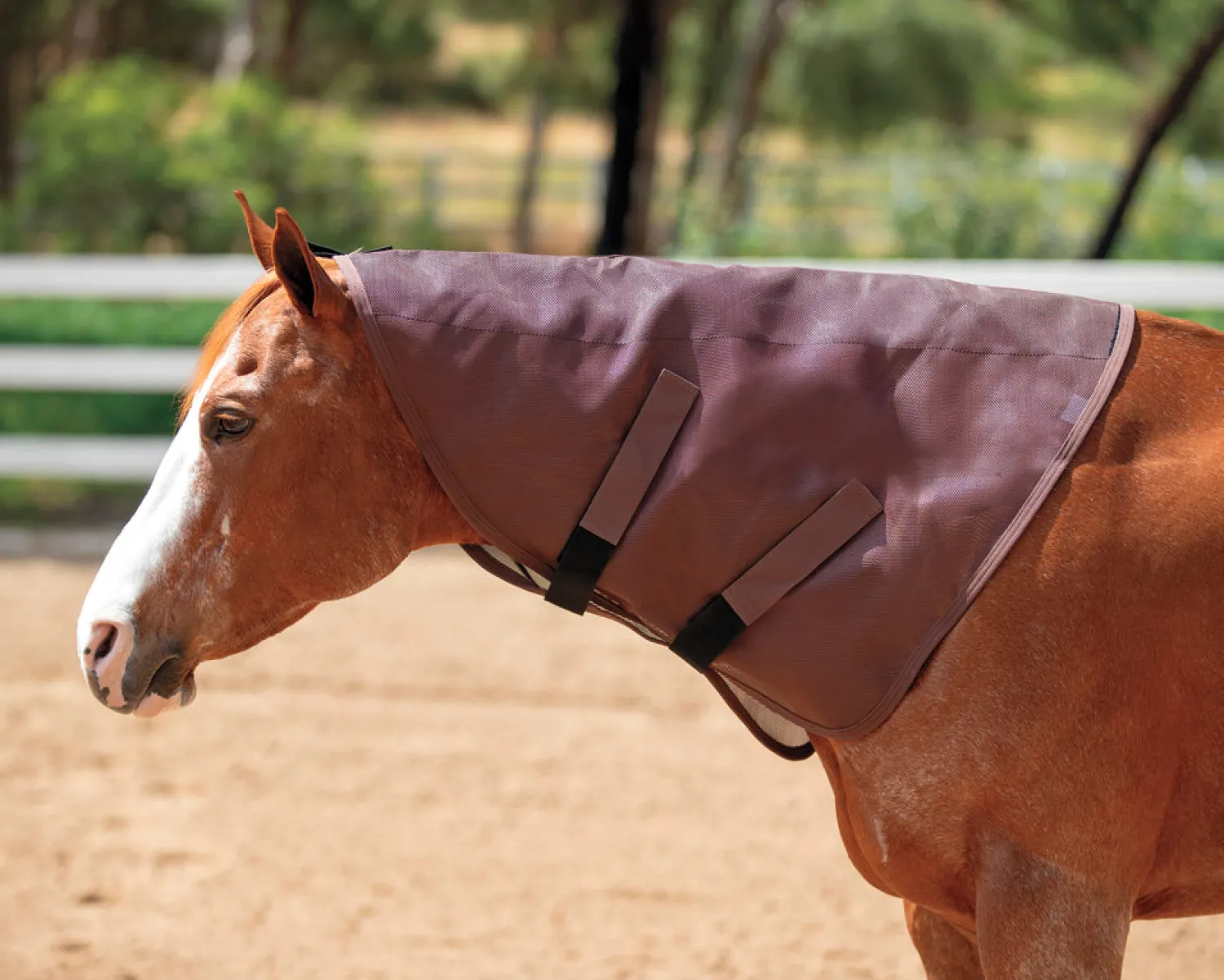 Online KENSINGTON ™ Signature Textilene® Neck Cover