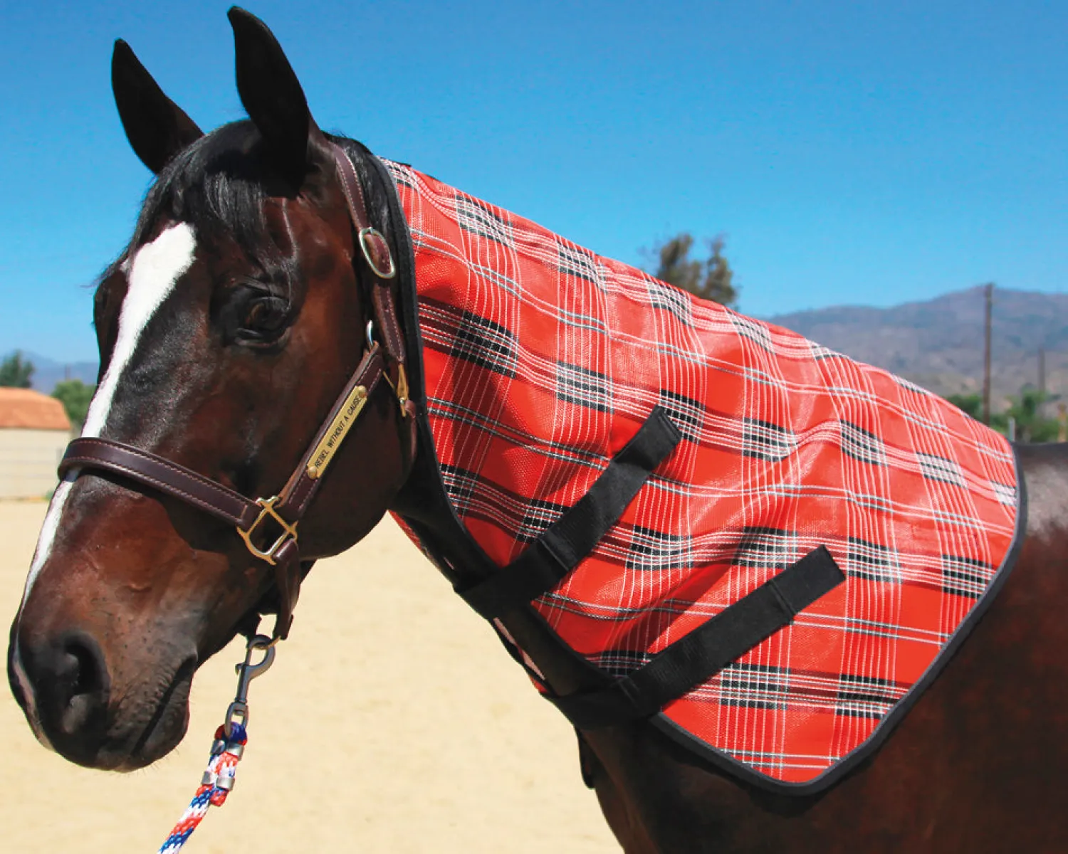Online KENSINGTON ™ Signature Textilene® Neck Cover