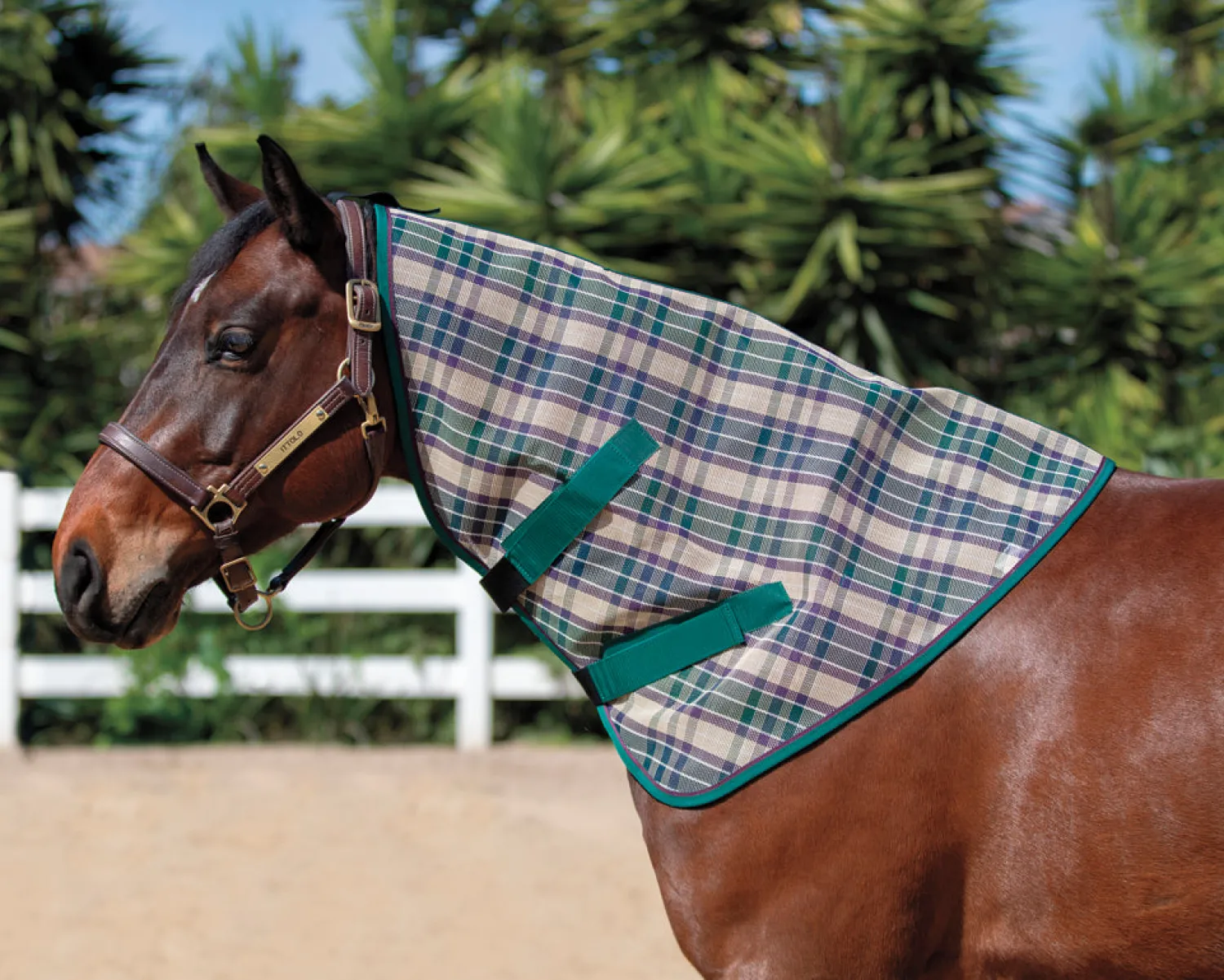 Online KENSINGTON ™ Signature Textilene® Neck Cover