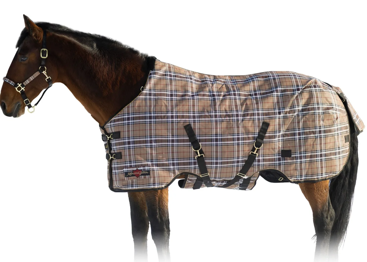 Clearance KENSINGTON ™ SuperMesh 300 Gram Heavyweight Turnout Blanket