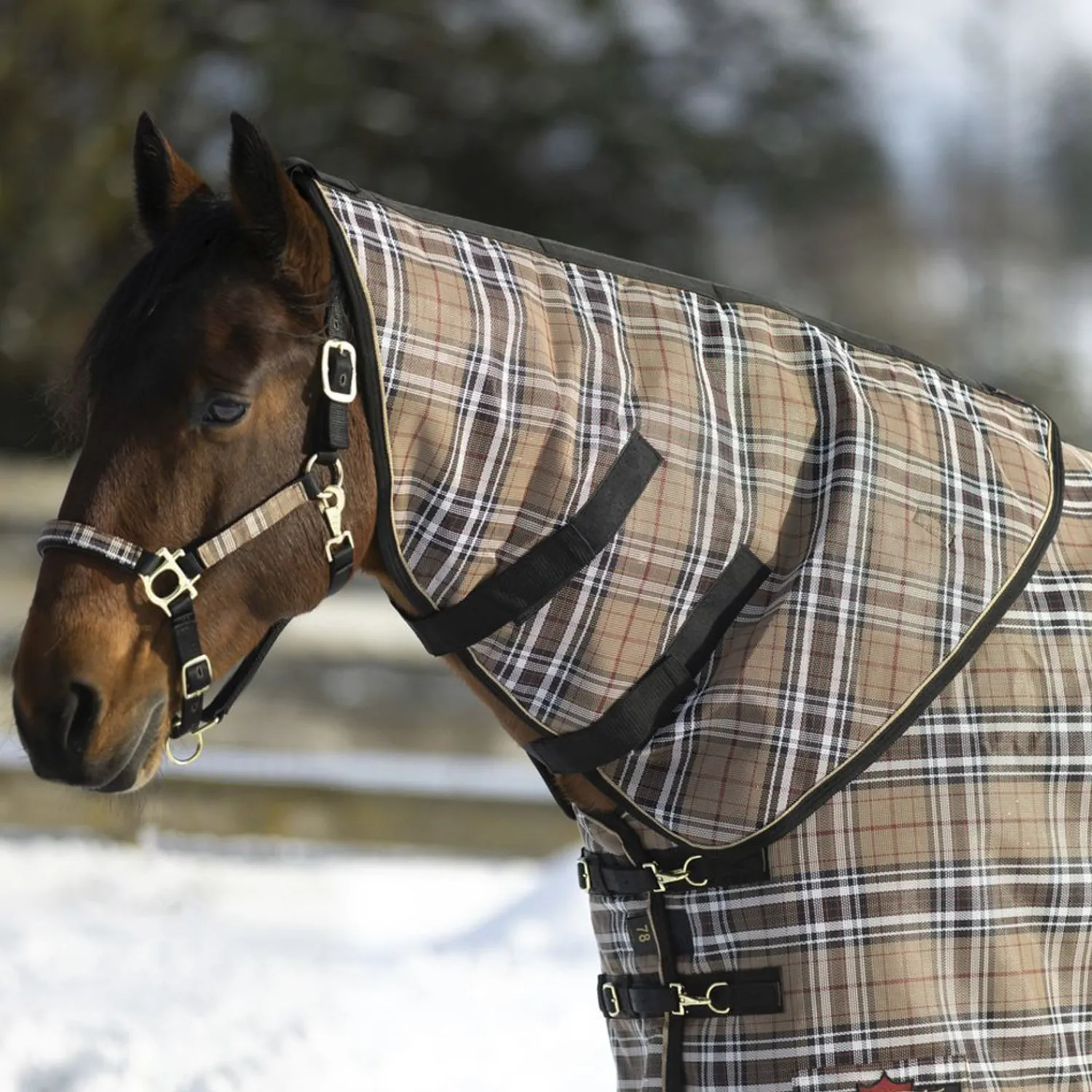 Best KENSINGTON ™ SuperMesh 300 Gram Heavyweight Neck Warmer