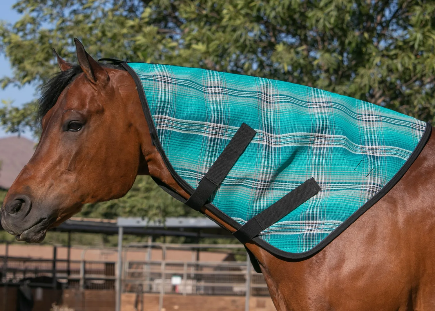 Sale KENSINGTON ™ Textilene® Neck Cover