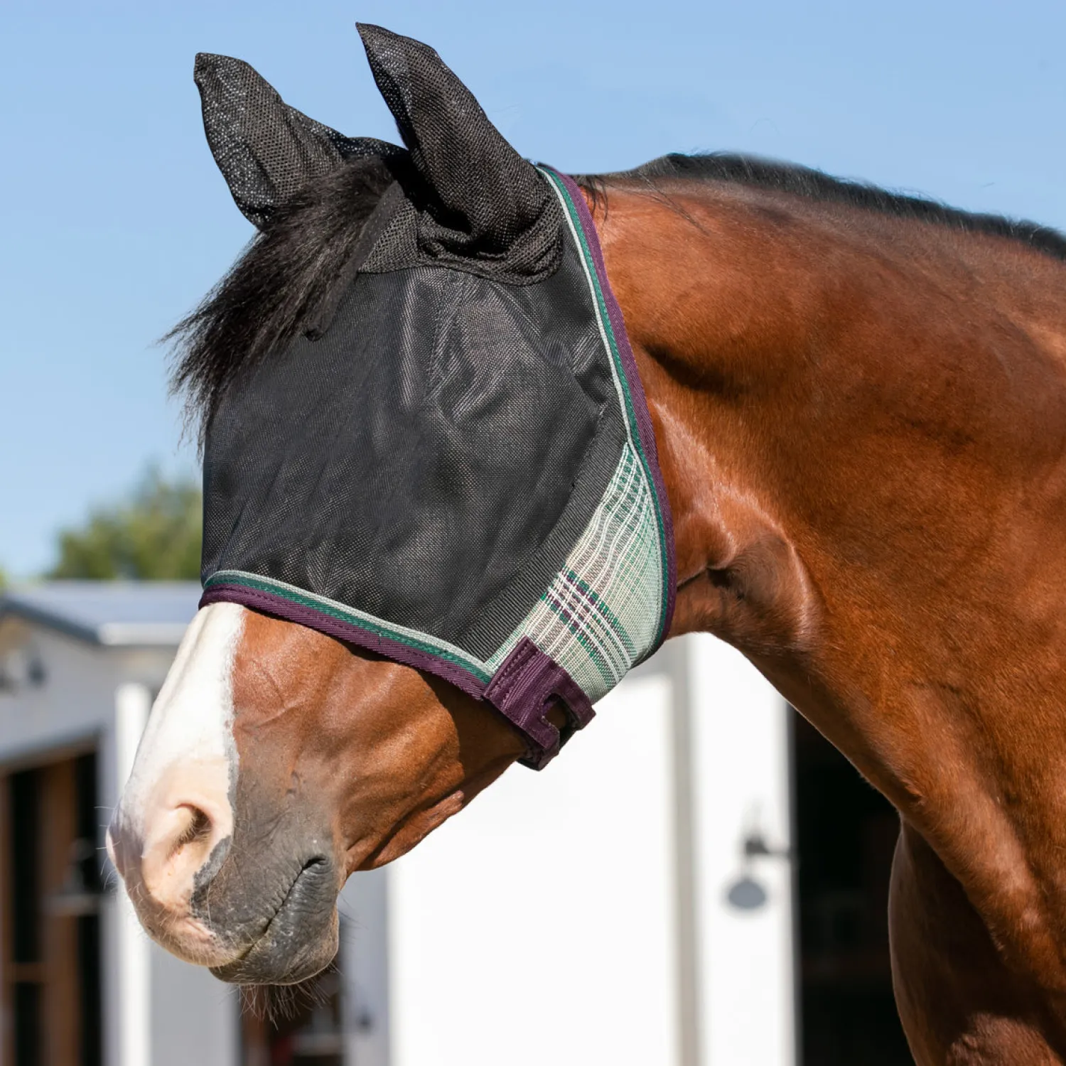 Outlet KENSINGTON ™ UViator CatchMask Protective Mask with Ears & Forelock Opening