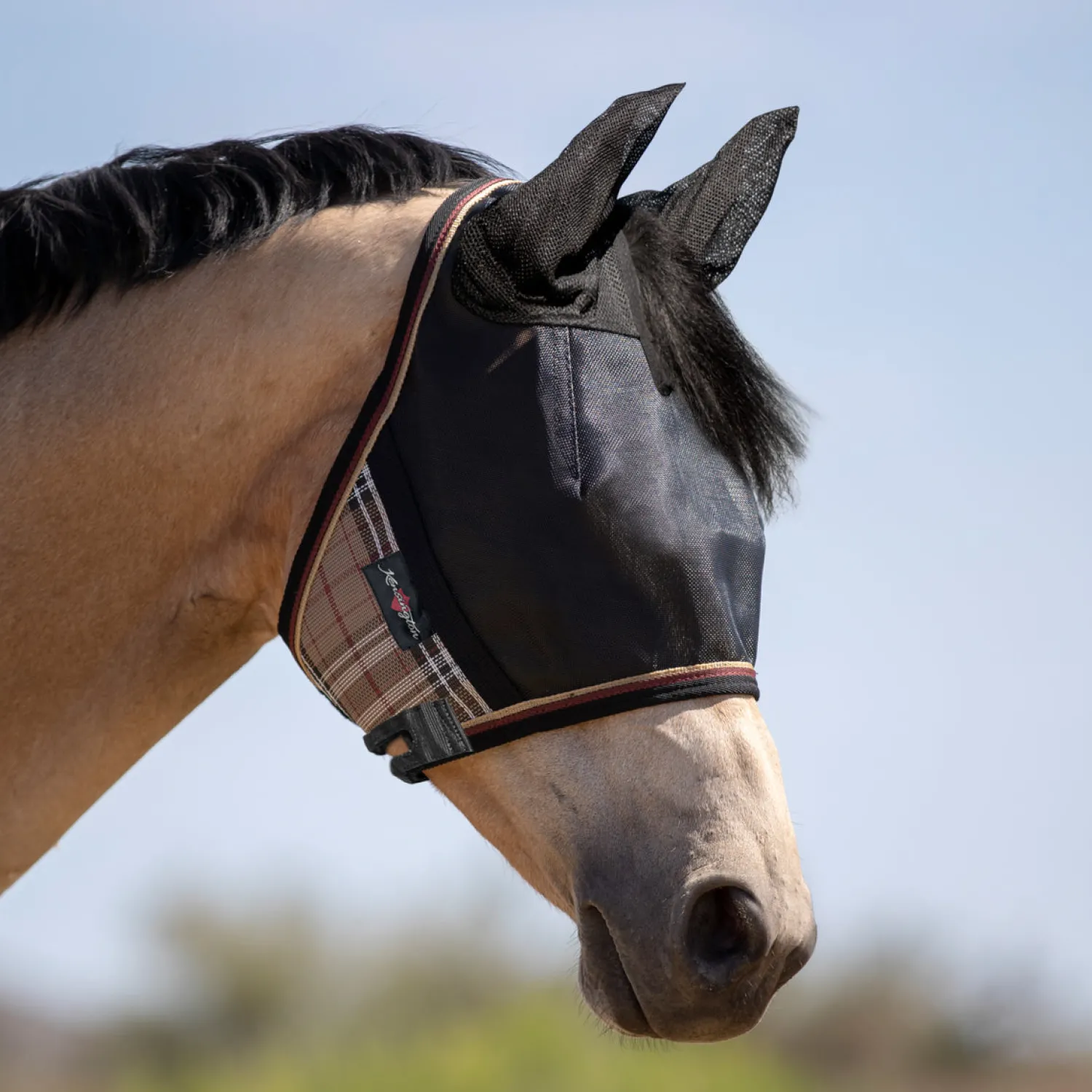 Outlet KENSINGTON ™ UViator CatchMask Protective Mask with Ears & Forelock Opening