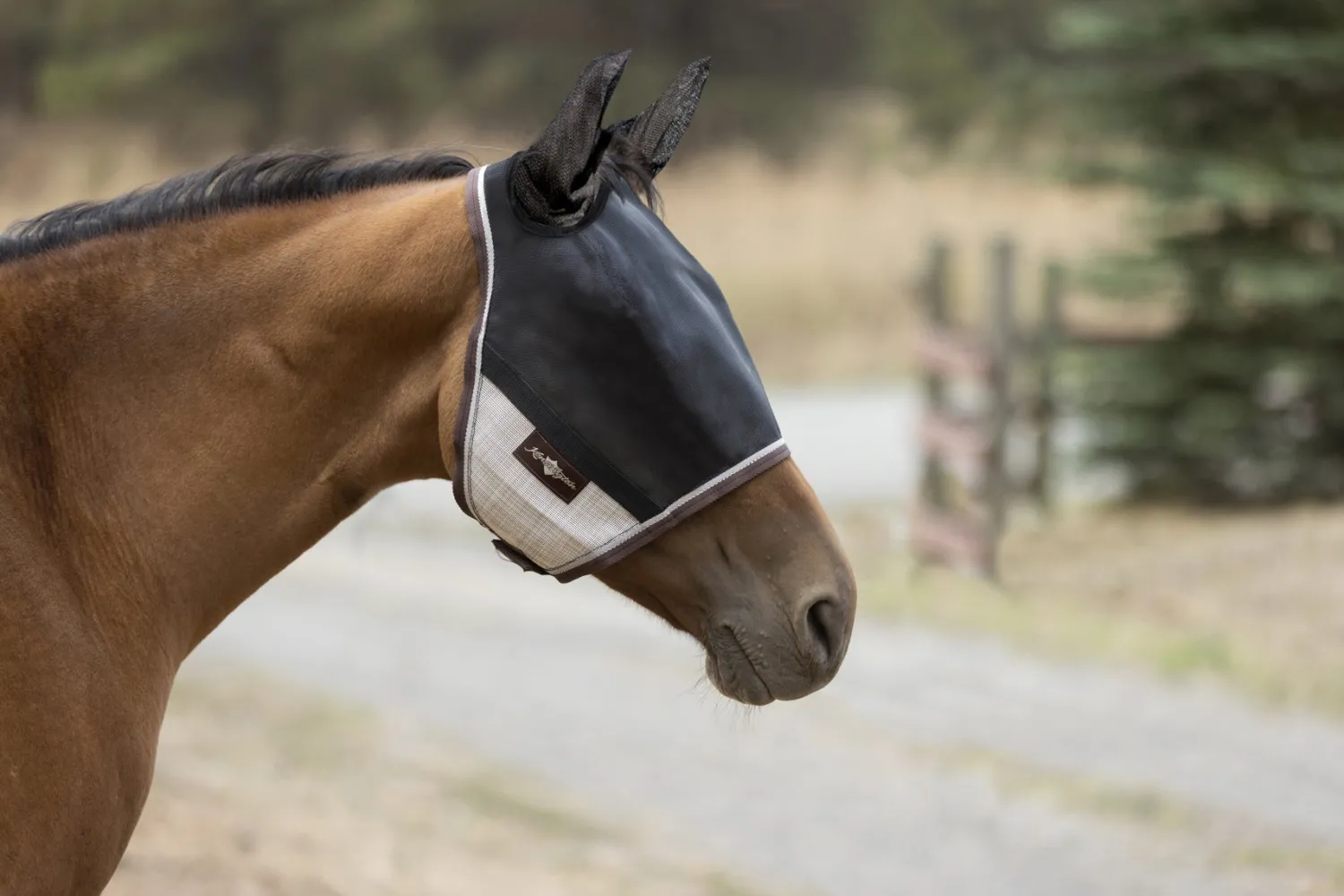Outlet KENSINGTON ™ UViator CatchMask Protective Mask with Ears & Forelock Opening