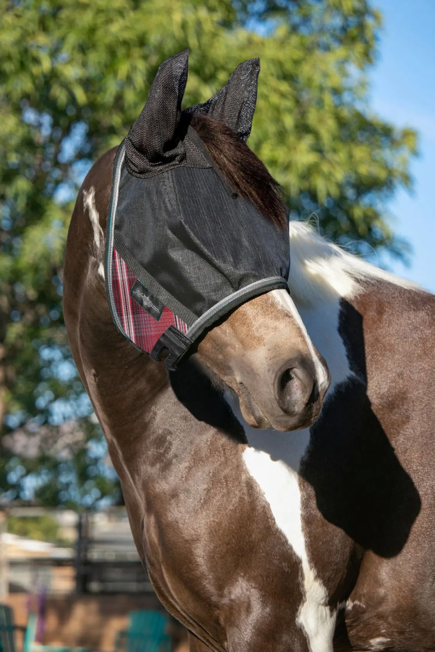 Outlet KENSINGTON ™ UViator CatchMask Protective Mask with Ears & Forelock Opening