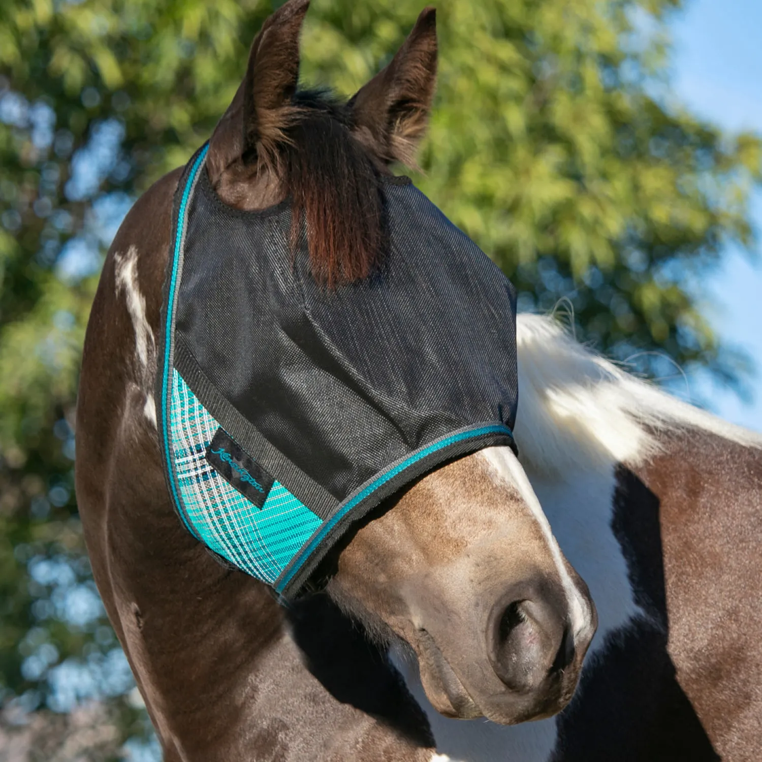 Sale KENSINGTON ™ UViator CatchMask® with Web Trim