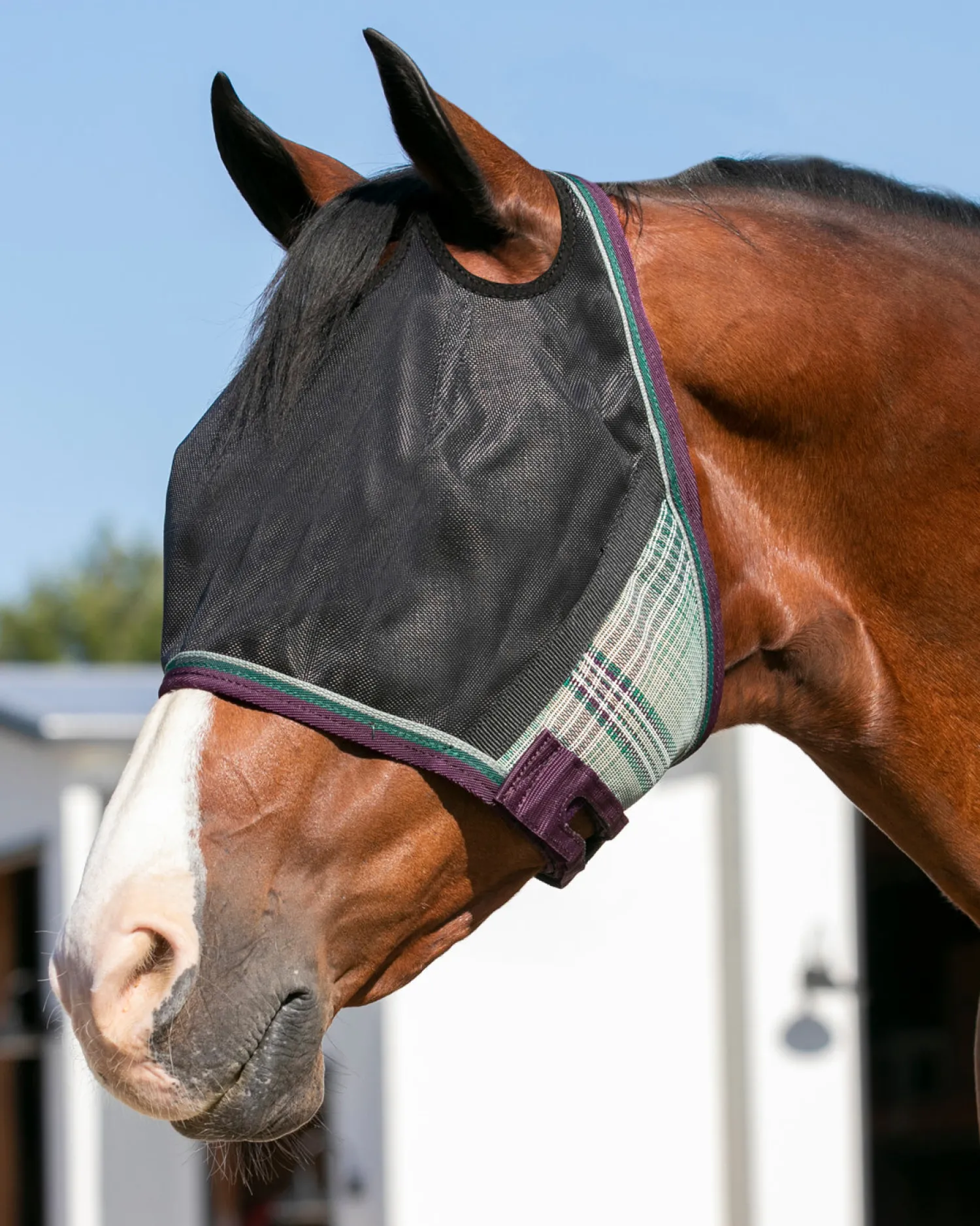 Sale KENSINGTON ™ UViator CatchMask® with Web Trim