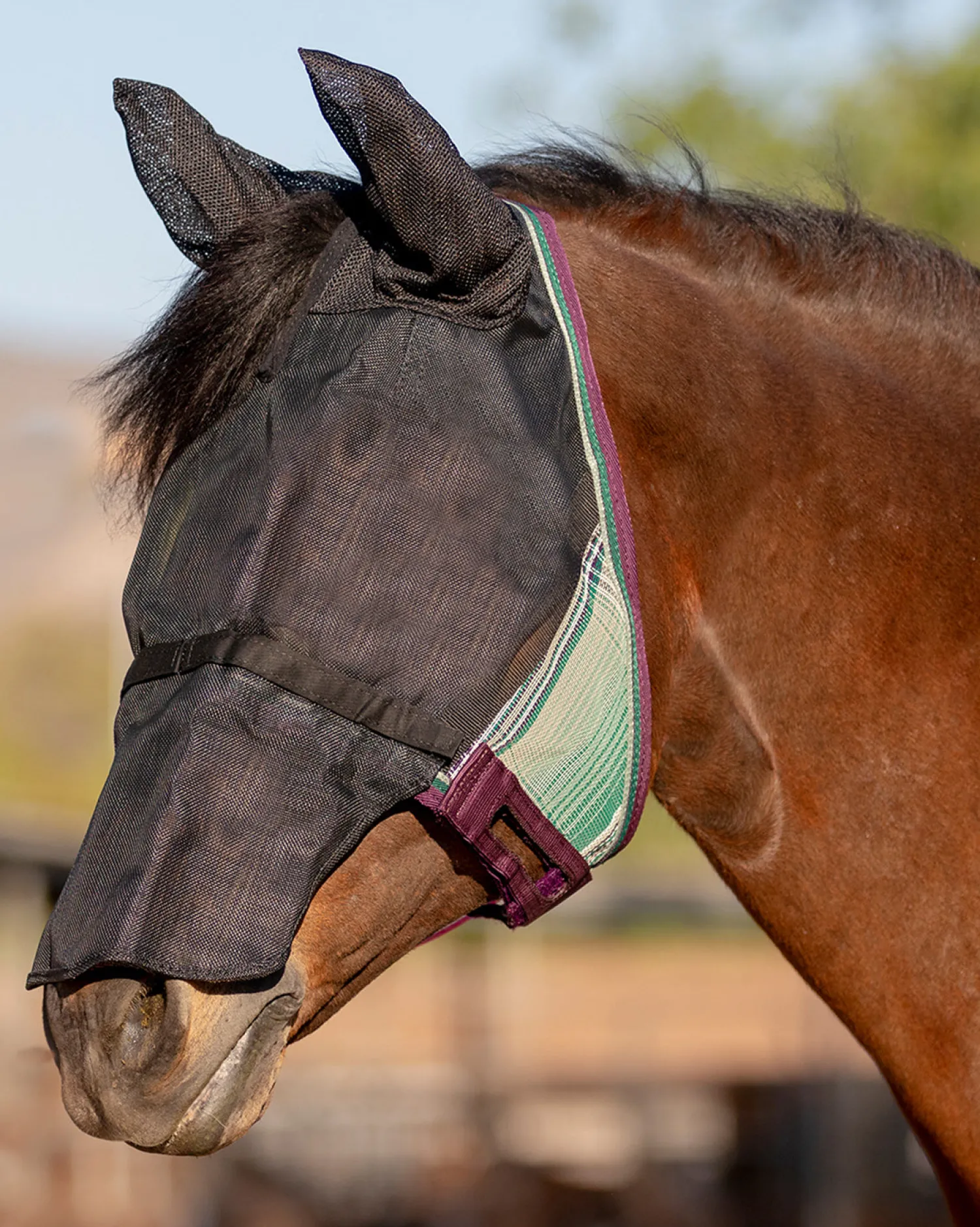 Discount KENSINGTON ™ UViator CatchMask® with Ears, Removable Nose & Forelock Opening