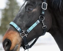 Outlet KENSINGTON ™ Premium Halter