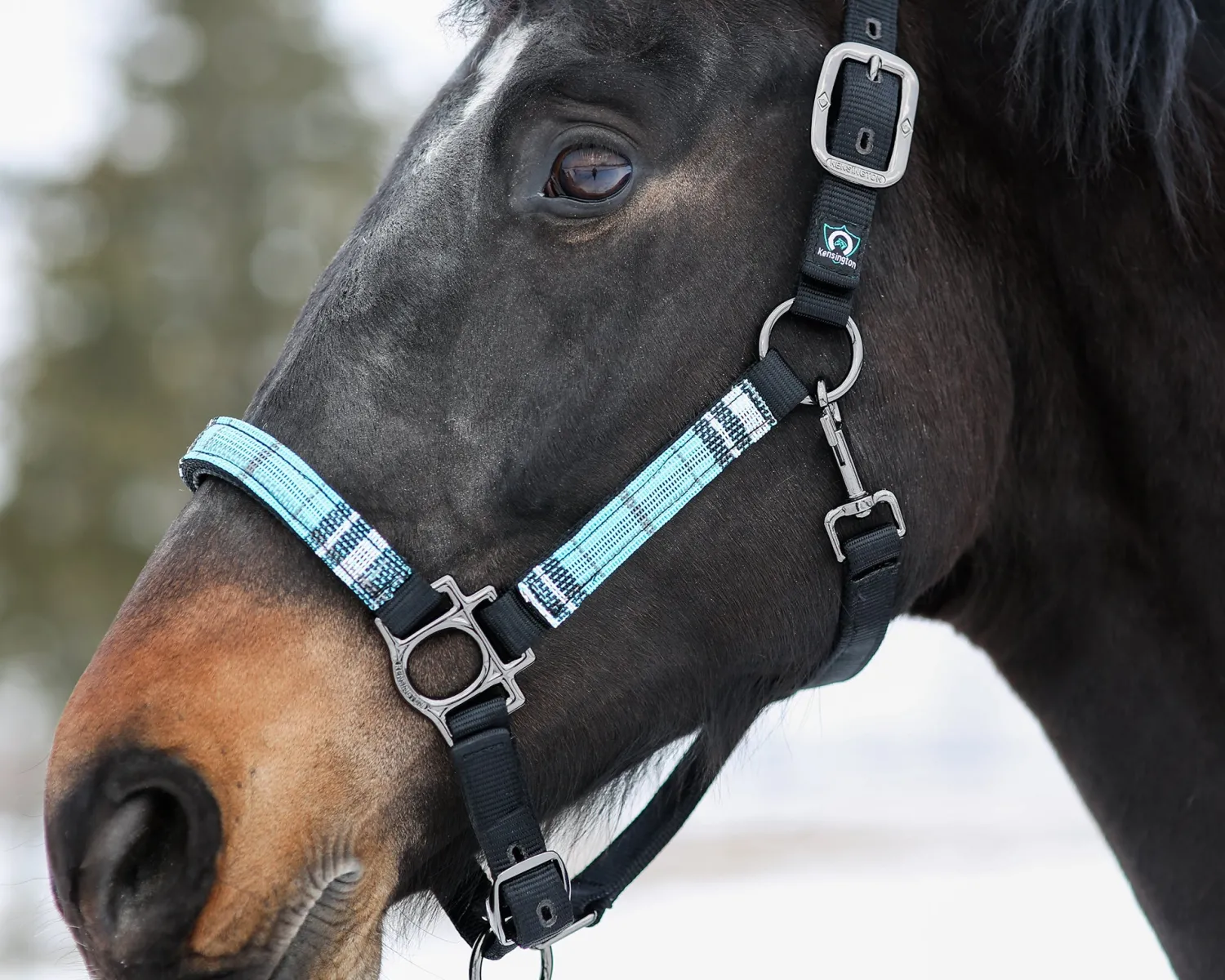 Outlet KENSINGTON ™ Premium Halter