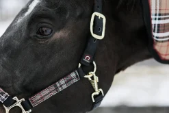 Outlet KENSINGTON ™ Premium Halter
