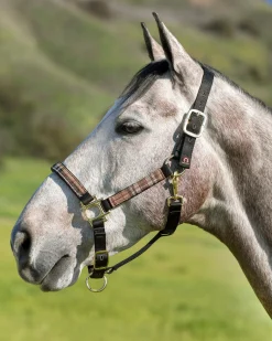 Outlet KENSINGTON ™ Premium Halter