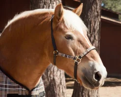 Outlet KENSINGTON ™ Premium Halter