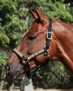 Outlet KENSINGTON ™ Premium Halter