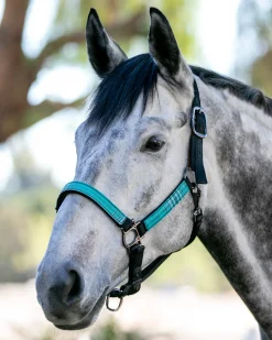 Outlet KENSINGTON ™ Premium Halter