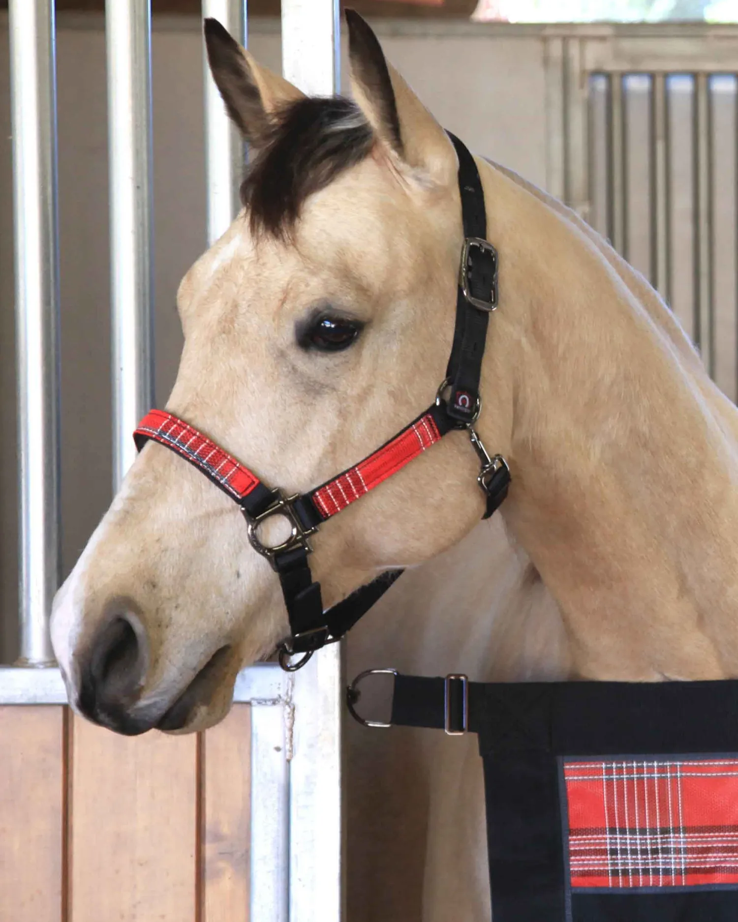 Outlet KENSINGTON ™ Premium Halter