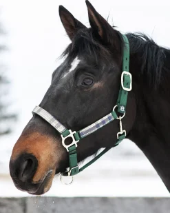 Outlet KENSINGTON ™ Premium Halter