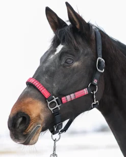 Outlet KENSINGTON ™ Premium Halter