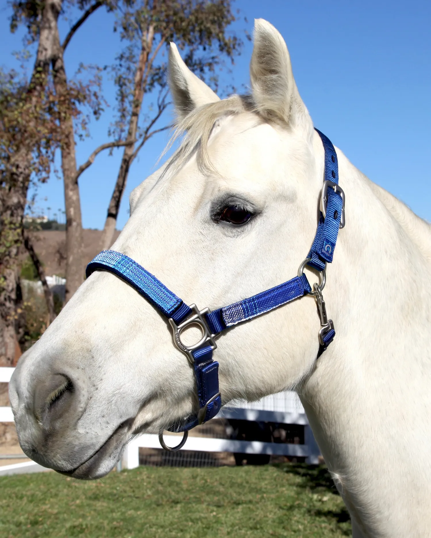 Outlet KENSINGTON ™ Premium Halter