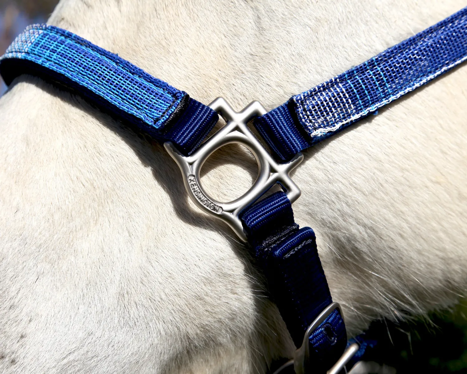 Outlet KENSINGTON ™ Premium Halter