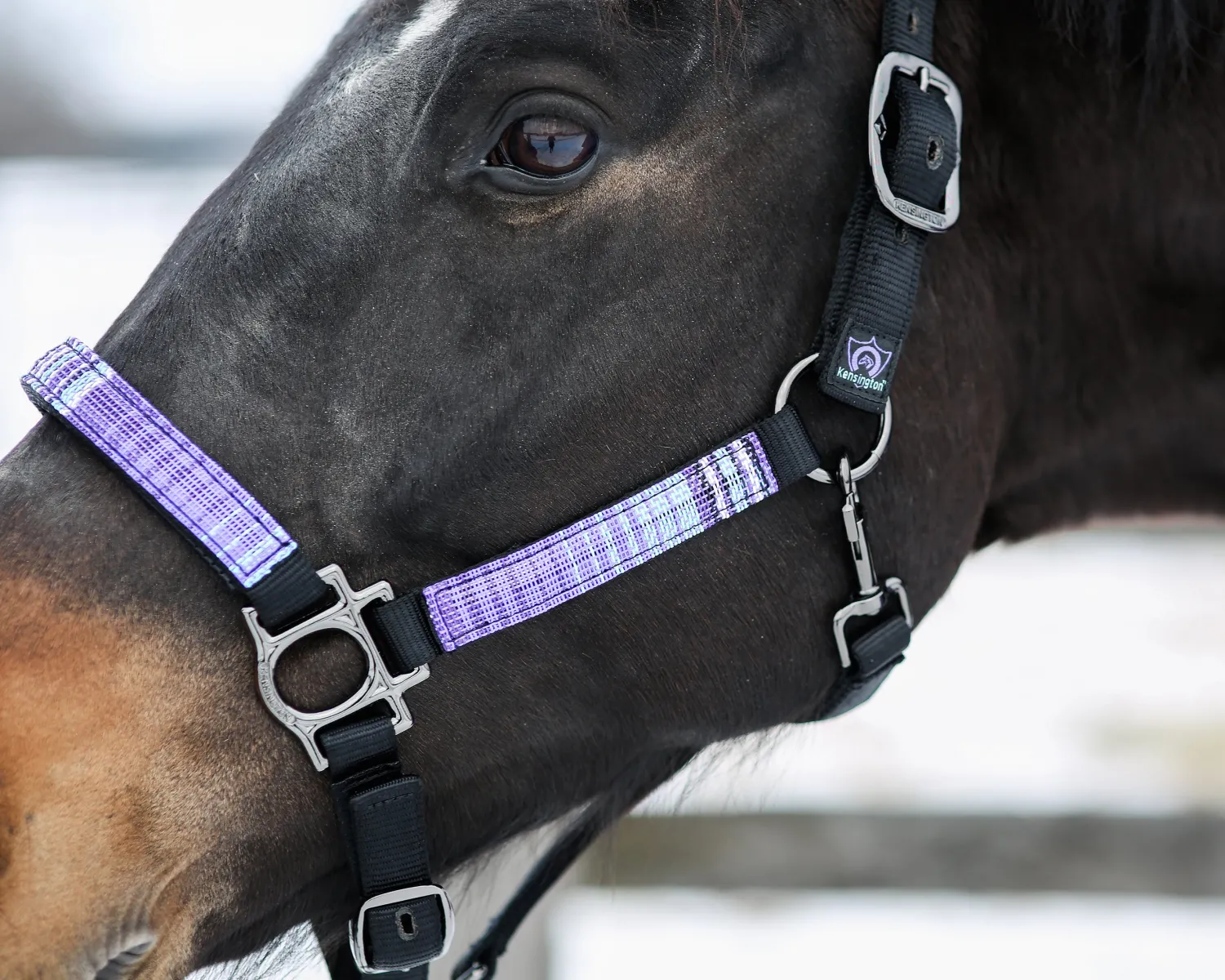 Outlet KENSINGTON ™ Premium Halter