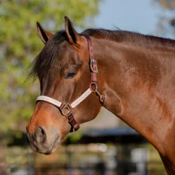 Outlet KENSINGTON ™ Premium Halter