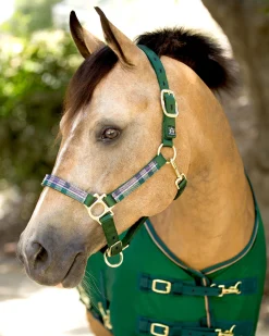 Outlet KENSINGTON ™ Premium Halter