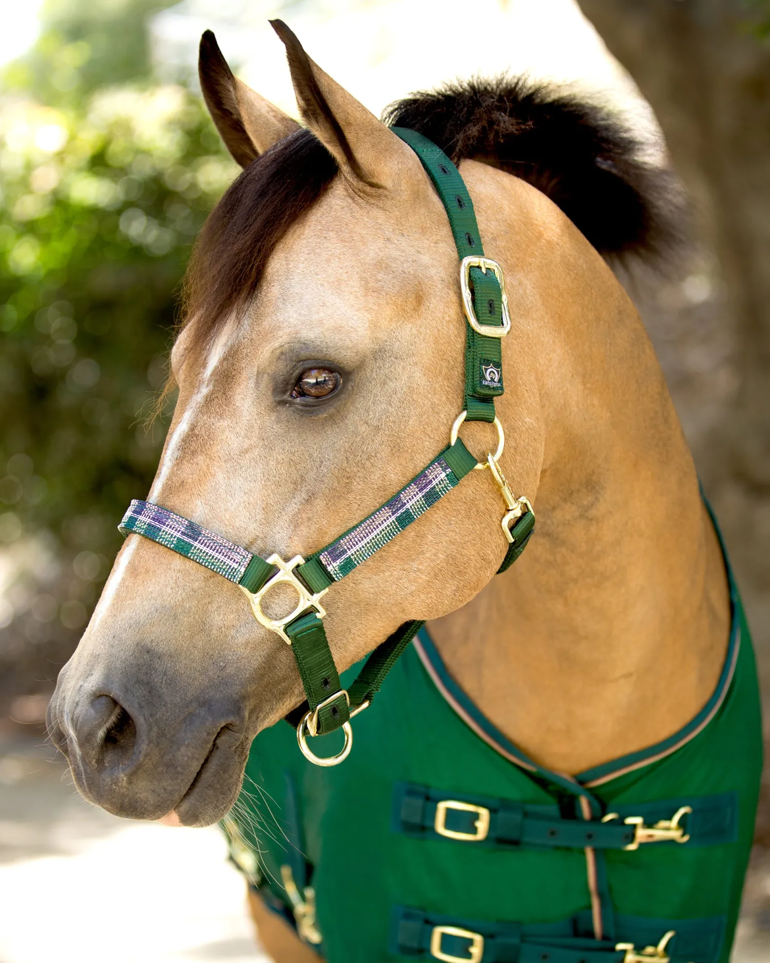 Outlet KENSINGTON ™ Premium Halter