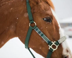 Outlet KENSINGTON ™ Premium Halter