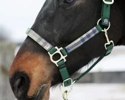 Outlet KENSINGTON ™ Premium Halter
