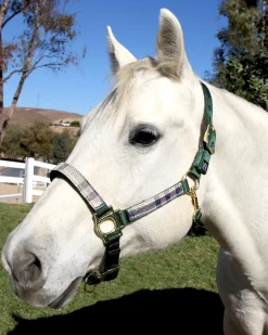 Outlet KENSINGTON ™ Premium Halter