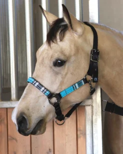 Outlet KENSINGTON ™ Premium Halter