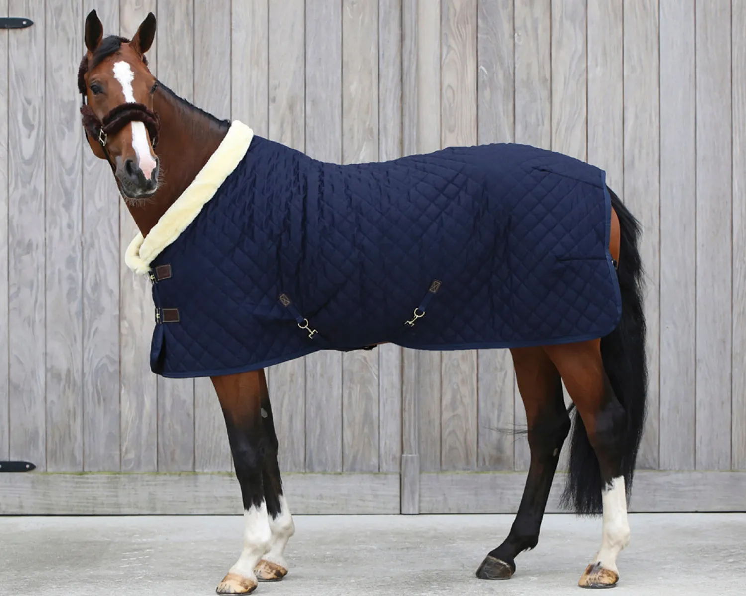 New KENTUCKY HORSEWEAR Show Rug Navy