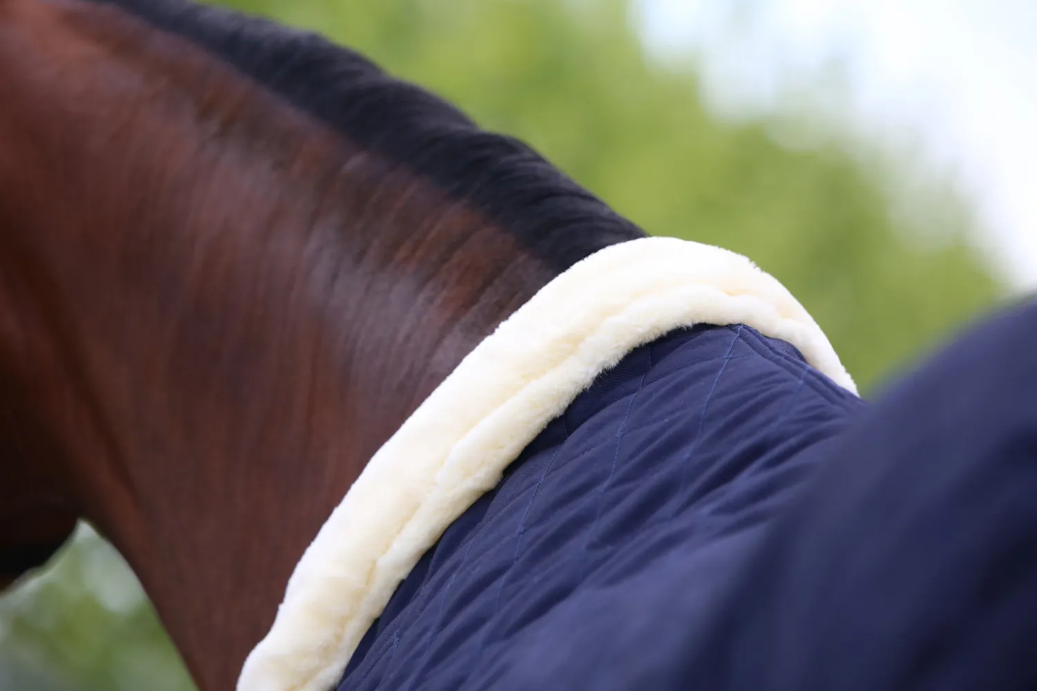 New KENTUCKY HORSEWEAR Show Rug Navy