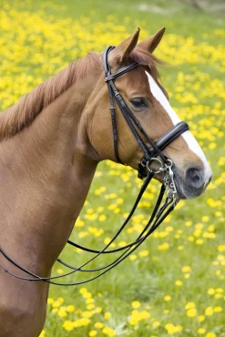 Clearance KIEFFER SATTLERWAREN Kieffer Padded Ergonomic Line II Double Bridle Black