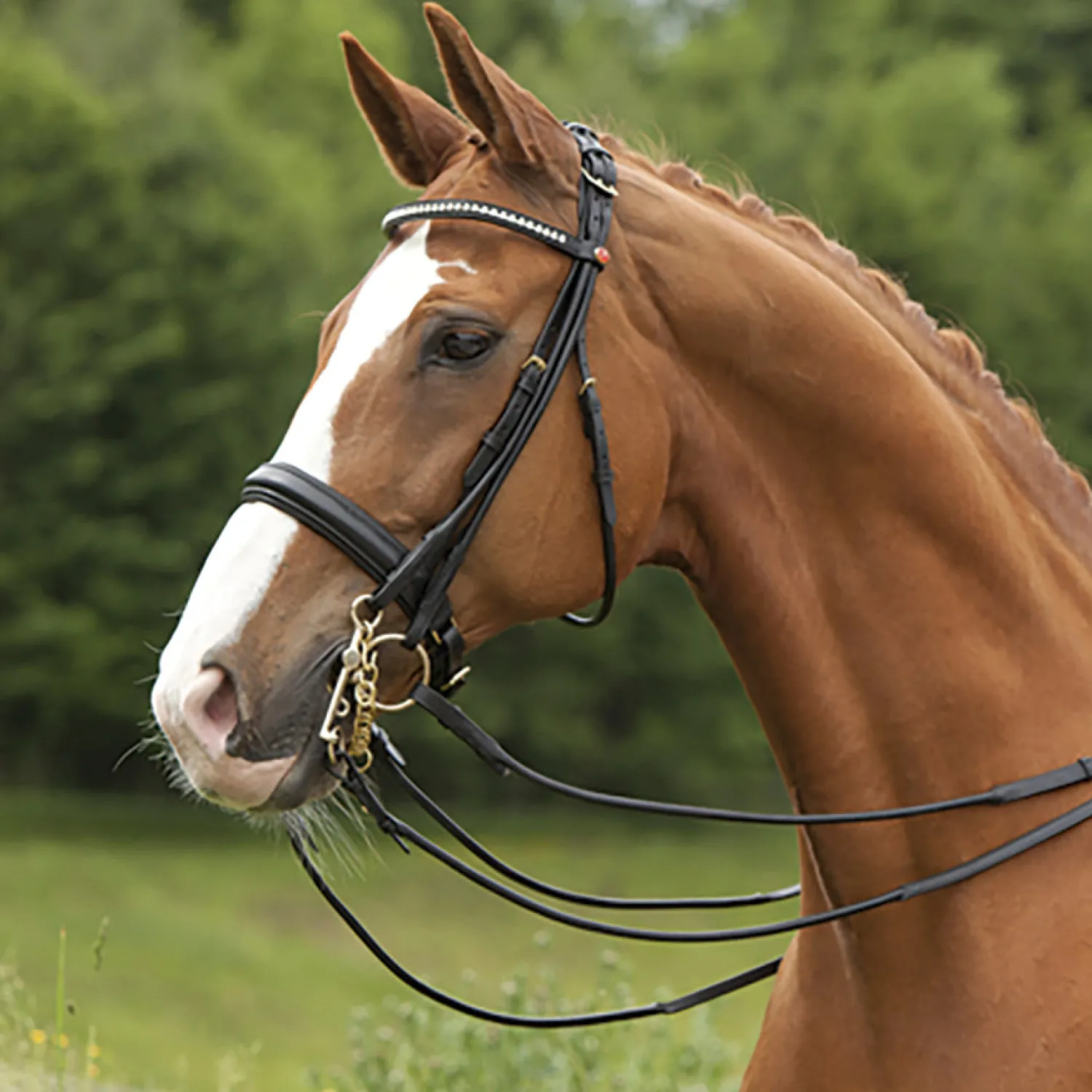 KIEFFER SATTLERWAREN Kieffer Sylvie Double Bridle Black