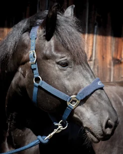 PARTRADE Lami-Cell Fleece-Lined Halter