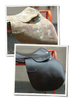 New ANIMAL HEALTH INT Leather Therapy® Wash