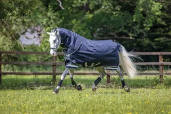 Clearance HORSE HEALTH TRADE LeMieux® Arika Featherweight Turnout Sheet Navy