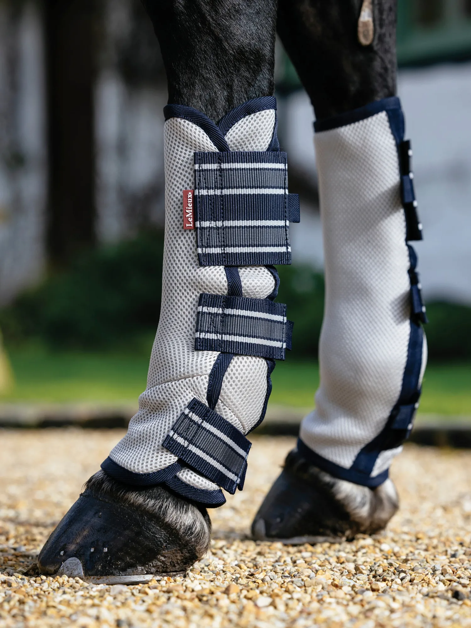 New HORSE HEALTH TRADE LeMieux® Arika Mesh Fly Boots Navy