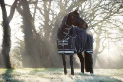 Hot HORSE HEALTH TRADE LeMieux® Arika Storm-Tek 350 Gram Turnout Blanket Navy