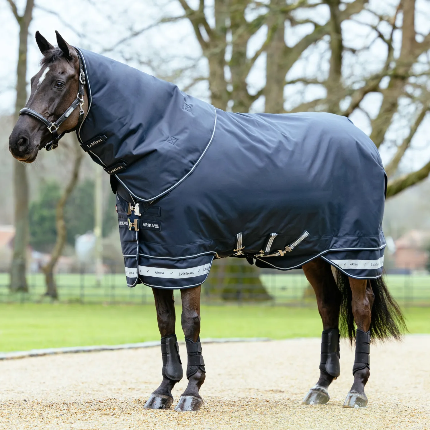 Sale HORSE HEALTH TRADE LeMieux® Arika Storm-Tek 350 Gram Turnout Blanket with Leg Straps Navy/White/Navy