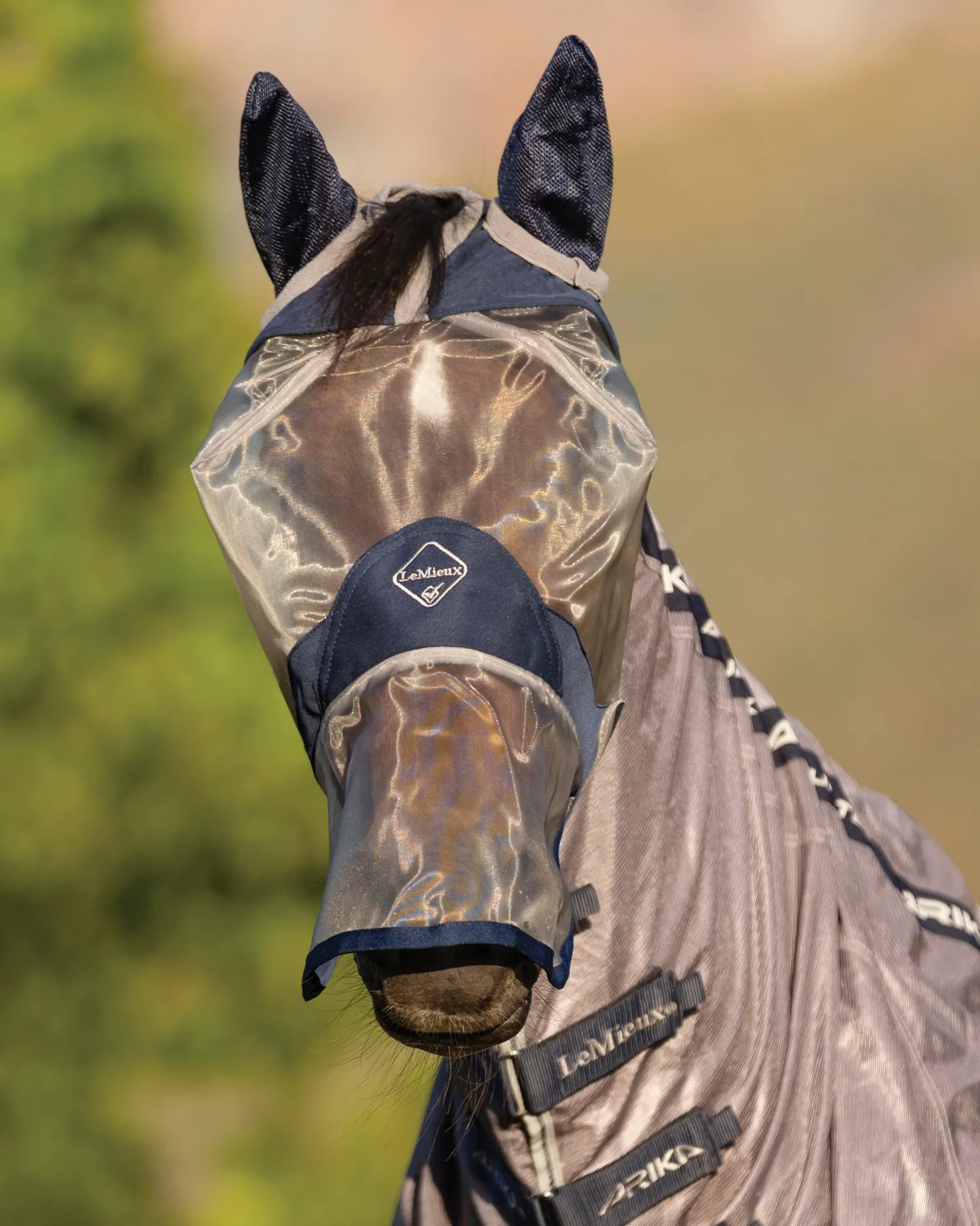 Online HORSE HEALTH TRADE LeMieux® Armour Shield Pro Fly Mask with Nose
