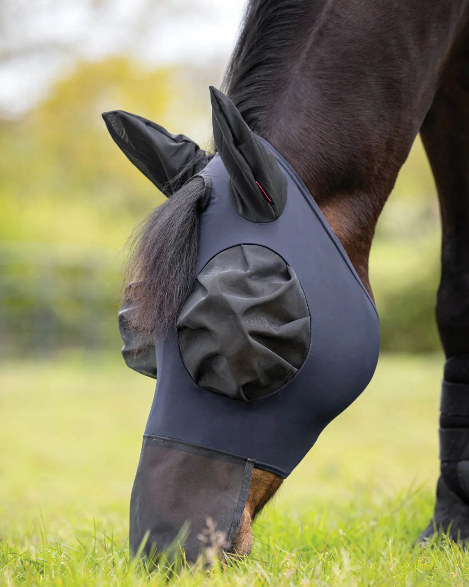 Best HORSE HEALTH TRADE LeMieux® Bug Relief Fly Mask