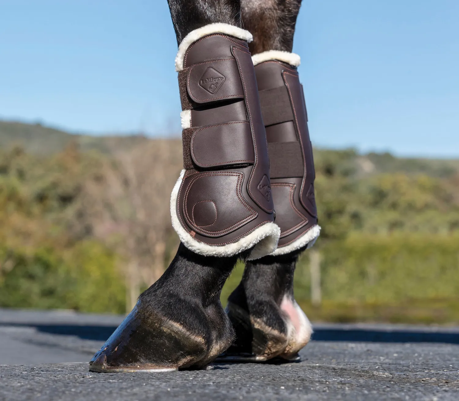New HORSE HEALTH TRADE LeMieux® Capella Comfort Tendon Boots