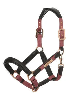 Clearance HORSE HEALTH TRADE LeMieux® Capella Headcollar