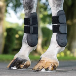Sale HORSE HEALTH TRADE LeMieux® Capella Tendon Boots